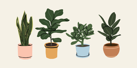 Flat vector houseplants collection. Snake plant, fiddle-leaf fig, jadeplant, rubber tree
