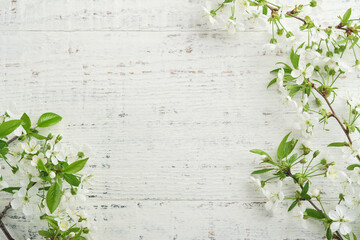Blooming white apple or cherry blossom on white wooden background. Happy Passover background....