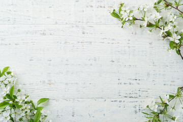Blooming white apple or cherry blossom on white wooden background. Happy Passover background....