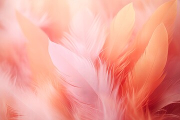 Soft feathers background, peach fuzz and pink colors, blur - obrazy, fototapety, plakaty