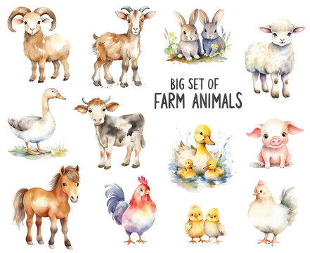 Set of watercolor farm animals - ram, goat, rabbits, lamb, sheep, duck, goose, cow, horse, rooster, chicks and piglet isolated on white background.