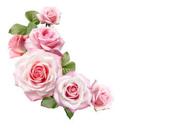 pink roses isolated on white - Powered by Adobe