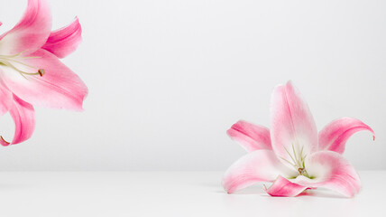 White table podium with lily pink flowers and copy space. Floral background for design, cosmetic,...