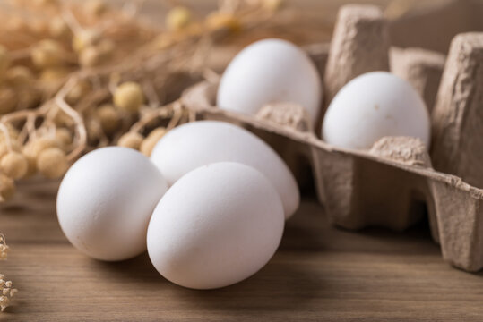 Organic white leghorn egg from free range farm
