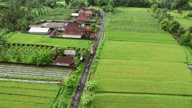 Balinese Royal Cremation Ceremony, Ngaben Hindu Traditional Culture Aerial footage. 4K. Pan left and crab right shot.