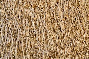 Nature's Tapestry: Close-Up of Palm Tree Bark Texture