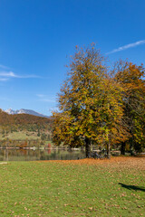 autumn in the park