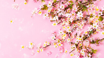 Obraz premium pink cherry blossom