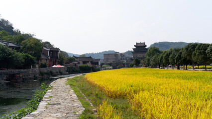 landscape in the village of country