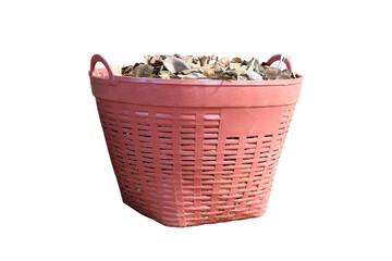 Lots of dead leaves in a large red plastic basket,trash  isolated on white background.