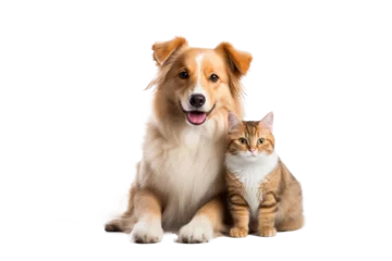 Zelfklevend Fotobehang Portrait of Happy dog and cat that looking at the camera together isolated on transparent background, friendship between dog and cat, amazing friendliness of the pets. © TANATPON