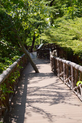 the bridge in the park