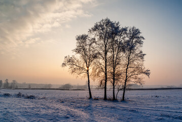 Piękno śnieżnej i mroźnej zimy, Podlasie, Polska