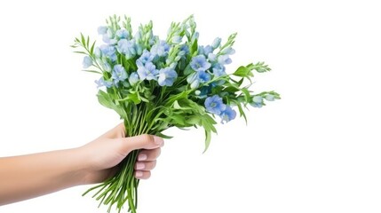 A bouquet of spring flowers close-up in the hand on a white background. A nice gift for a holiday. Spring mood