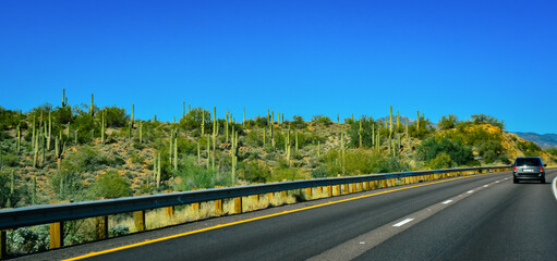 A car road against the backdrop of a stone desert with giant cacti in winter in Arizona