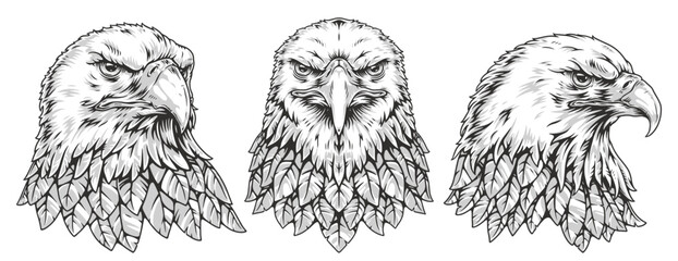 American eagle monochrome set sticker