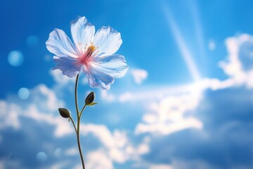  a blue flower is in the foreground with a blue sky and white clouds in the background with a sunburst in the middle of the middle of the sky.