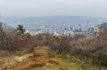 scenic view of Tbilisi and forest on Mtatsminda mountain from Turtle Lake trail