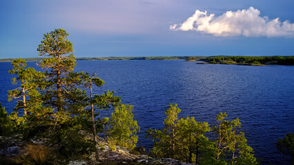 lake in the forest