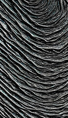 L&iacute;neas negras onduladas blanco y negro oscuridad pinceladas pinceles espiral v&oacute;rtice art&iacute;sticos t&eacute;cnica con texturas trazos trazados agua oscuro