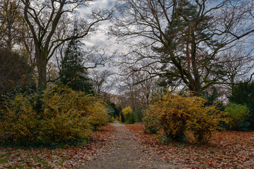 Ein Friedhof als Erholungsort: herbstlicher Parkweg im denkmalgeschützten 