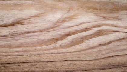 Obraz premium Texture of wood wallpaper.