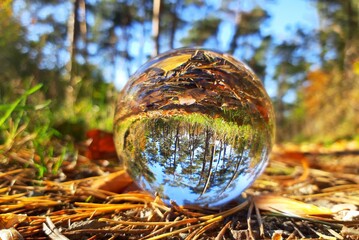 Glaskugel im Herbstlaub