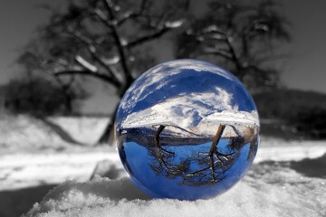 snow globe on the tree