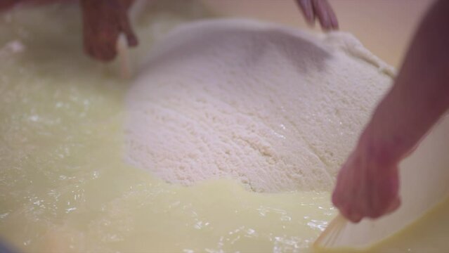 Parmigiano Reggiano preparazione della forma
