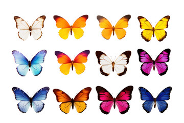 butterfly collection Spring or summer colorful butterfly, On a transparent background. Isolated.