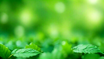 Green leaves background with bokeh effect and copy space for text.