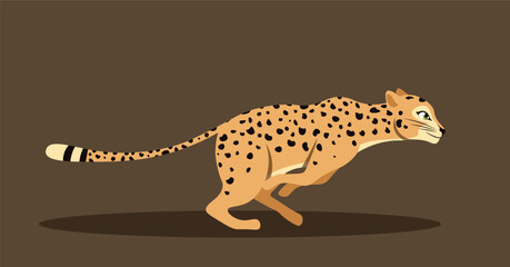 Cute running leopard. Adorable spotted predator jumps and chases its prey. Fast cheetah rushes forward. Big cat in motion.. Cartoon flat vector illustration isolated on brown background © Rudzhan
