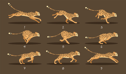Leopard Run cycle. Set of Animation frames or sprite sheet. Cheetah rush and chases prey. Savannah wild animal in motion. Design for video. Cartoon flat vector collection isolated on brown background - obrazy, fototapety, plakaty