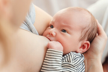 Mother breastfeeding baby. Baby eating mother's milk. - obrazy, fototapety, plakaty