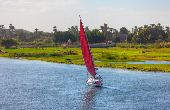 Red sailing Felucca sailboats on River Nile, Aswan, Egypt