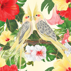 Seamless texture  Yellow cockatiel  tropical birds   parrots watercolor style and tropicel flowers hibiscus vintage vector illustration editable hand draw
