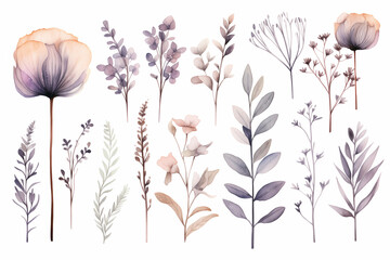 Beautiful watercolor plants, leaves and flowers for elegant modern greeting cards, congratulations in muted colors, boho style. Perfectly for wrapping paper, wallpaper fabric print, greeting cards - obrazy, fototapety, plakaty