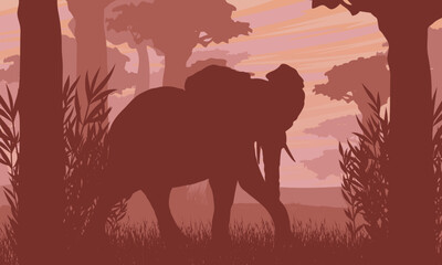 Elephant silhouette in the African savanna with baobab trees and vegetation. Vector landscape