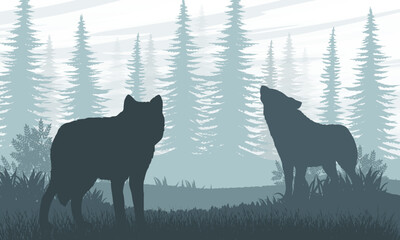 Two wolves on the edge of a spruce forest. Realistic flat vector landscape in blue colors