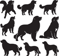 Icon Set Of Dog, Breeds, Canine, Pooch, Hound, Puppy, Mutt, Pet, Doggy editable vector - obrazy, fototapety, plakaty
