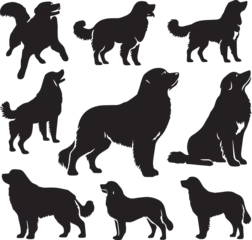 Foto op Aluminium Icon Set Of Dog, Breeds, Canine, Pooch, Hound, Puppy, Mutt, Pet, Doggy editable vector © sahadul