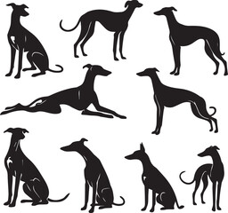 Icon Set Of Dog, Breeds, Canine, Pooch, Hound, Puppy, Mutt, Pet, Doggy editable vector