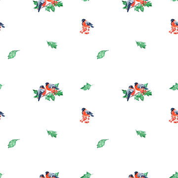 Wrapping paper with Holly and Bullfinches, Green leaves isolated
