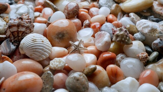 Sea and ocean life creative advertising concept. Close up of the seabed. Beautiful wet colorful shiny stones, starfish and shells under raindrops or sea spray.