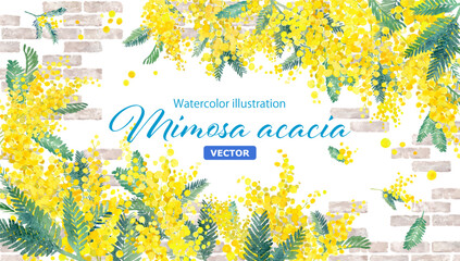 ミモザアカシアとレンガの水彩イラス。2隅装飾フレーム。春のイメージ背景。（ベクター。レイアウト変更可能）