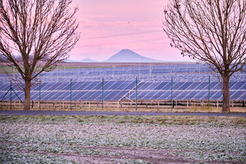 Solar power plant park with panels beyond chain link fence. Subsidized renewable energy source on...