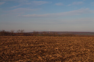 A field of dry grass
