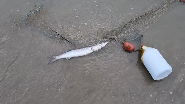 Un pez muerto enredado en una red de pesca, rodeado de basura y desperdicios pl&aacute;sticos.