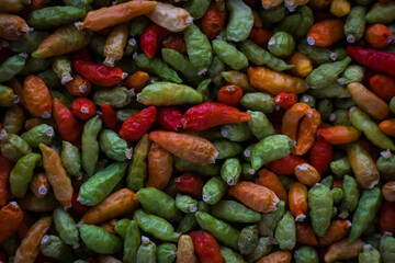 chiltepin in drying process
