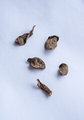 黒生姜スライス白背景